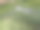 房子后面的沼泽充满了水和草图片下载