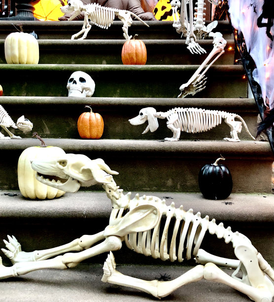 恐怖的骷髅楼梯图片下载