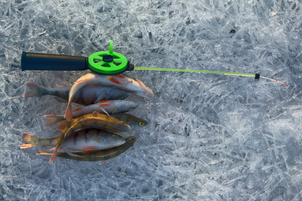 冬天从冰面上积极休息捕鱼图片下载