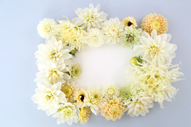 花的背景图片下载