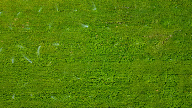 无人机拍摄的洒水灌溉系统正在浇灌绿地图片下载