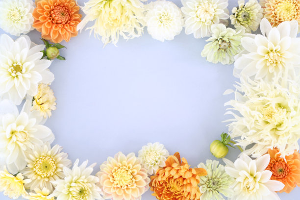 花的背景图片下载