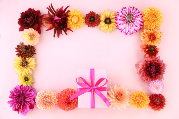 花的背景图片下载