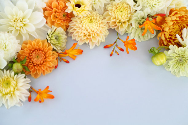 花的背景图片下载