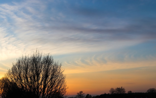 美丽的照片，一个大的树剪影在彩色的日落背景图片下载