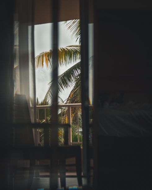从阳台上看到的户外棕榈树的垂直镜头——美学背景图片下载
