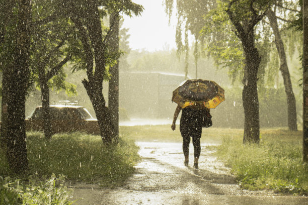 阴雨明媚的风景与剪影在伞下图片下载
