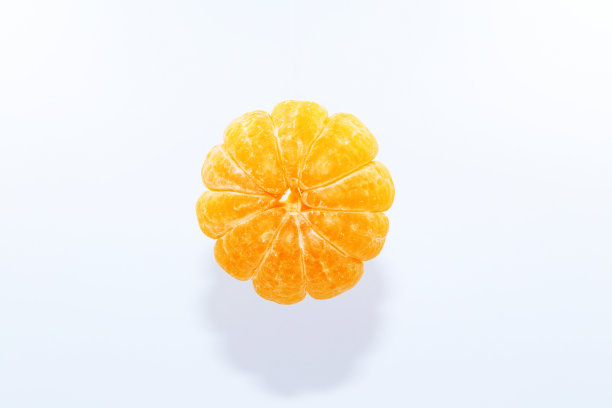 白底上的橘子图片下载