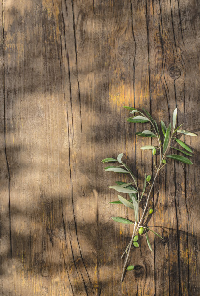 乡村，乡村，木制橄榄树垂直背景与橄榄枝，平面设计和文字复制空间，平铺，光影。健康的地中海食物概念图片下载