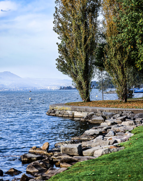 奥美利康图片下载