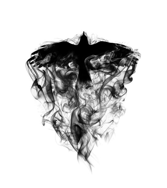 一只飞翔的乌鸦的剪影与展开的翅膀在美丽的烟雾在白色的背景隔离黑烟。一只乌鸦在烟雾中飞翔的剪影。图片下载