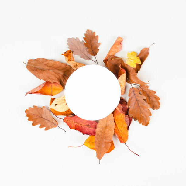 秋季背景，框彩色树叶，棕色，红色和黄色的树叶，贺卡图片下载