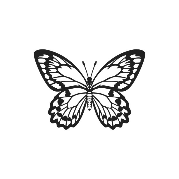 逼真的金色鸟翼蝴蝶插画。美丽的蝴蝶贴纸图片下载