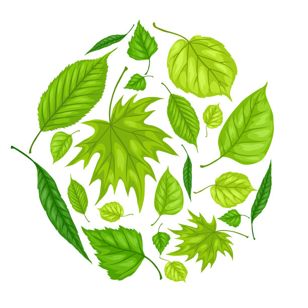 背景与春天的树叶美丽图片下载