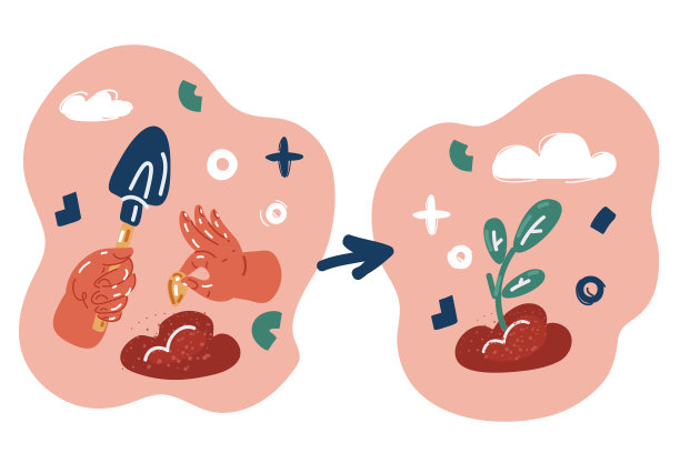 植物从种子生长的矢量图。图片下载