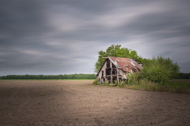 与眼睛平齐的照片，老木破旧的谷仓附近的树木和灌木，在黑暗，多云的天空下图片下载