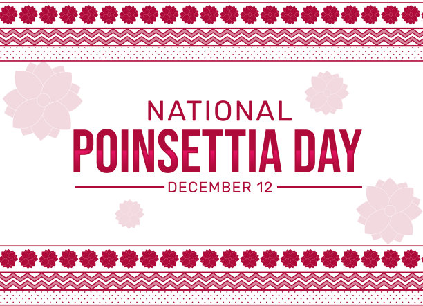 国家一品红日墙纸的传统风格和颜色。一品红节背景设计图片下载