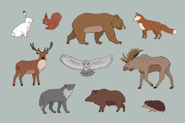 森林动物矢量插图集。图片下载