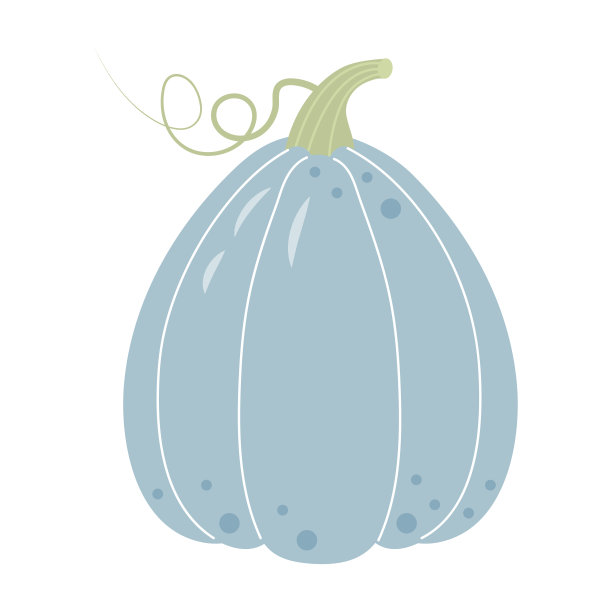 柔和的波西米亚南瓜孤立在白色背景。感恩节、丰收节、万圣节的象征。图片下载