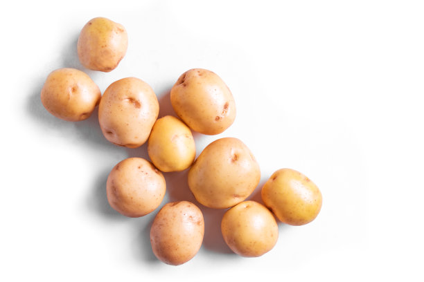 生婴儿土豆图片下载