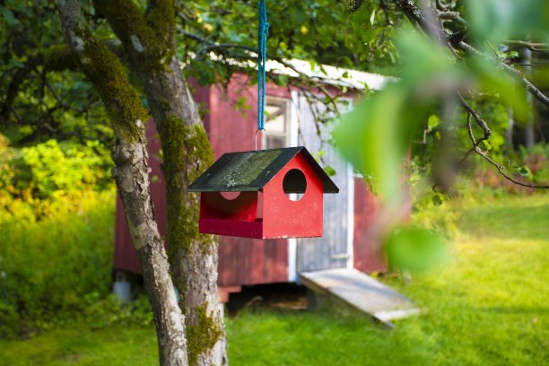 铜红色的鸟巢挂在树上，有一个红色的木屋图片下载