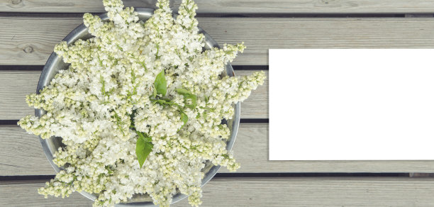 白色的紫丁香碗在木制背景图片下载