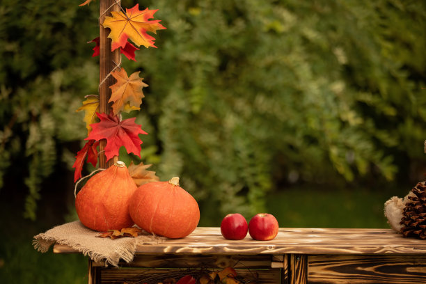 秋天的木架装饰，苹果，树叶，杯子，刺猬在公园里图片下载