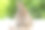 新生的小兔子毛茸茸的兔子小笔记本电脑坐在bokeh绿色背景。可爱的小兔子看着坐在木制自然背景上的东西。复活节毛绒宠物技术概念。图片下载