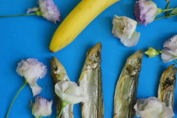鱼，花和香蕉。抽象的照片。图片下载