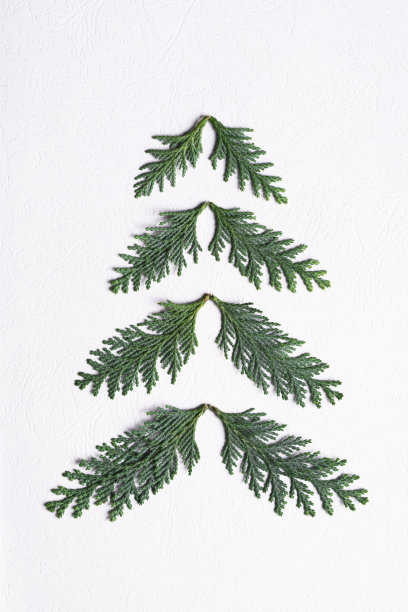 圣诞树图片下载