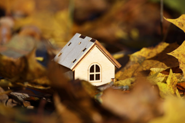 木屋模型在枫叶背景图片下载