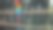 猩红金刚鹦鹉高清图像图片下载