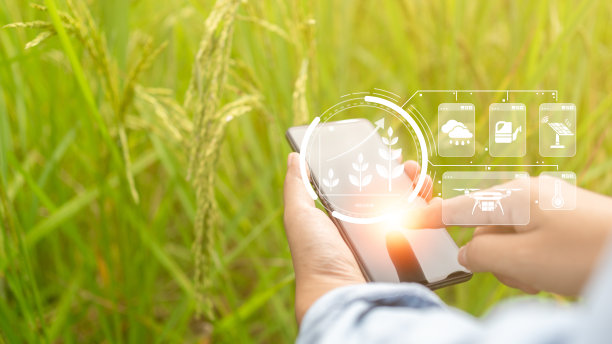 农民的手轻敲虚拟屏幕，分析植物生长中的各种因素，分析影响生产力的因素，现代农业，物联网，产品质量，温度，阳光，气象图片下载
