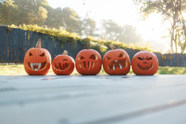 早上的杰克灯-雕刻的南瓜在早上-可怕的万圣节装饰- 5图片下载
