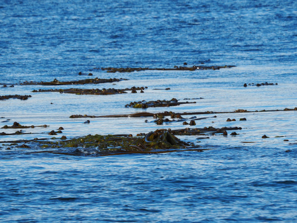 白天拍摄的海上岩石的高角度照片图片下载