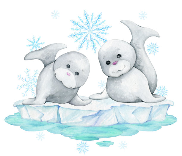 可爱的海豹，浮冰，雪花。水彩剪贴画，卡通风格，在一个孤立的背景。图片下载