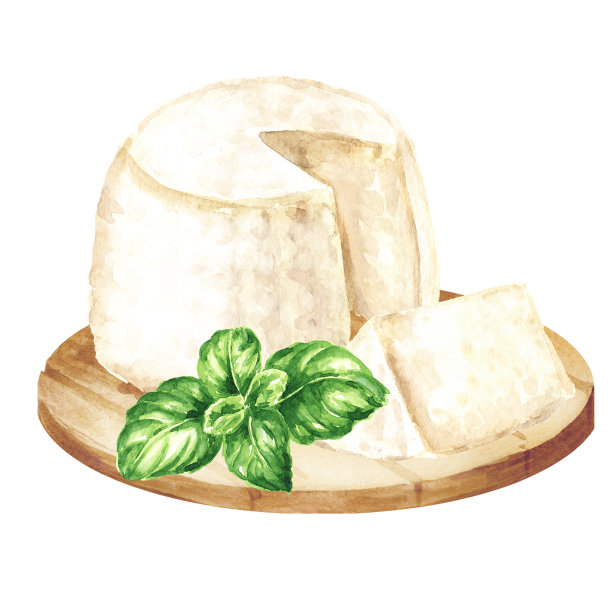 意大利乳清干酪和罗勒自制软奶酪。手绘水彩插图孤立在白色背景图片下载