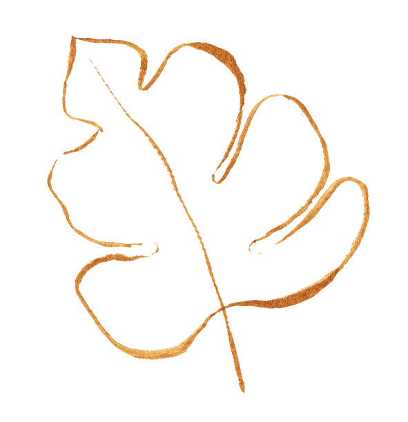 奢华的金叶孤立在白色上。图片下载