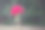 美丽的照片，红色的花在花盆里，放在木桌子上，背景是绿色的图片下载