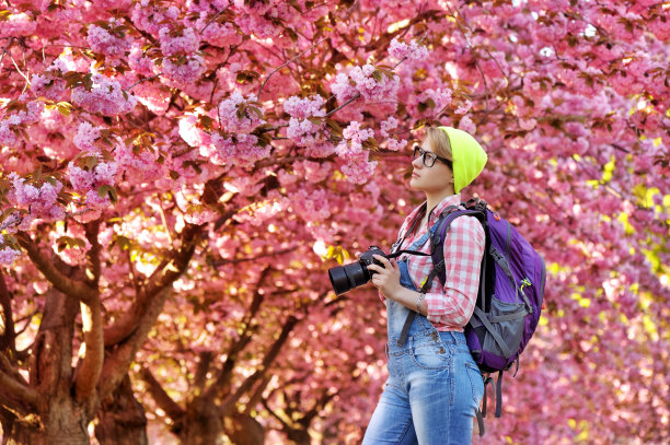 年轻女子拿着相机走在盛开的树下图片下载