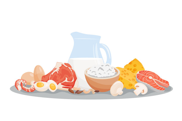 一套健康食品宏量营养素。由食品产生的蛋白质。白软干酪，肉，鱼排，虾，蘑菇，鸡蛋。营养类别矢量图。均衡的营养图片下载