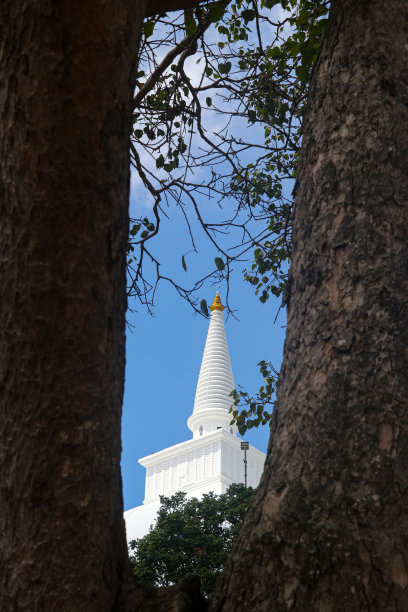 到哪座寺庙图片下载