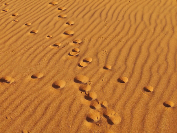 摩洛哥，撒哈拉沙漠沙漠上的脚印特写照片，背景是一个沙丘图片下载