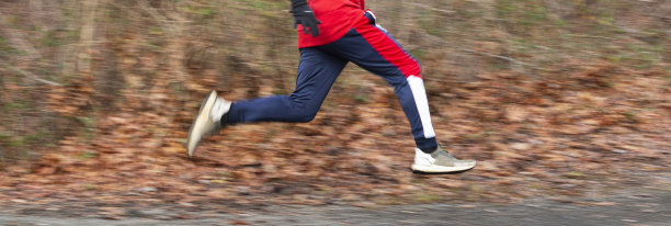 背景模糊的树林里跑得很快的跑步者图片下载