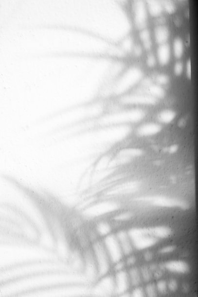 叶影背景与文字空间图片下载