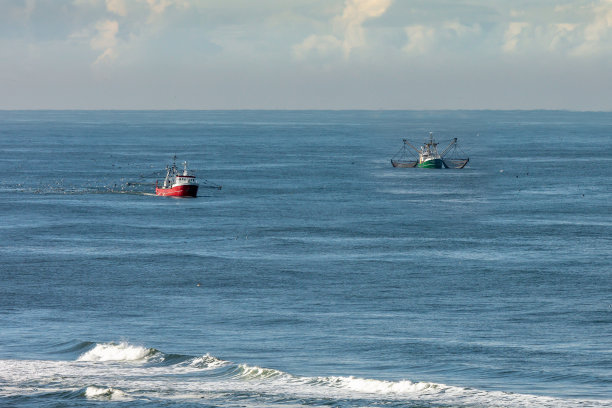 两艘捕鲸船，其中一艘带着升起的拖网，停在北海靠近海滩的蓝色海面上图片下载