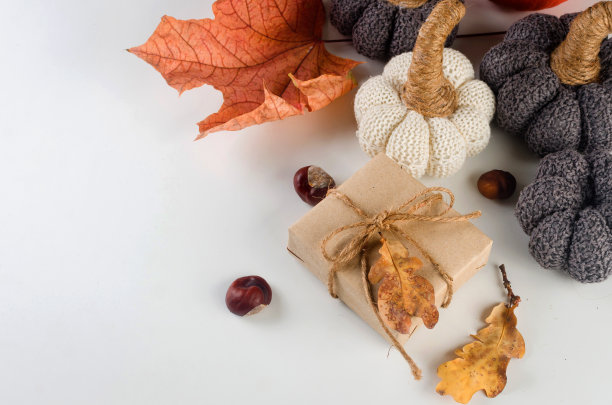 节日贺卡针织装饰南瓜，礼物，落叶，栗子。图片下载