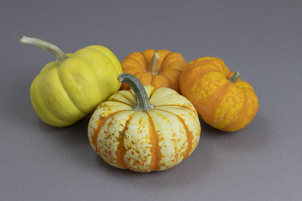 彩色的微型南瓜位于灰色背景上，水平方向。秋天的收获。万圣节。特写镜头库存图片图片下载