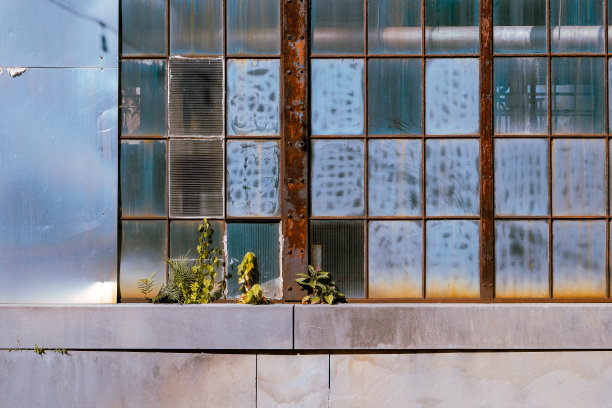 陈旧腐朽的工厂窗户，破损严重，生长过度。图片下载