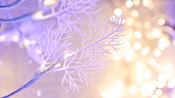 优雅的白色树枝在粉色的背景下，蓝色的圣诞灯饰散景。圣诞背景的概念。高质量的照片图片下载